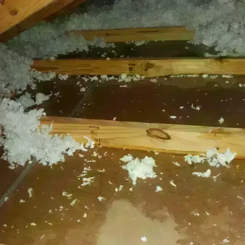 Attic Water Damage in Shirley, NY