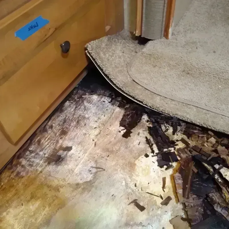 Wood Floor Water Damage in Shirley, NY